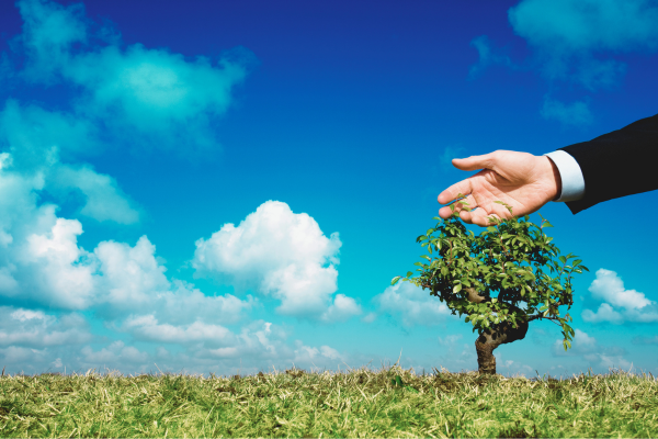 الحلول البيئية: نحو مستقبل أكثر استدامة